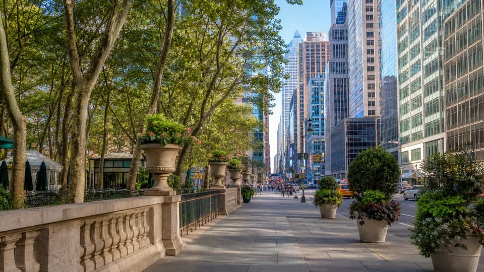 A tree-lined sidewalk leading from Bryant Park toward Midtown Manhattan.